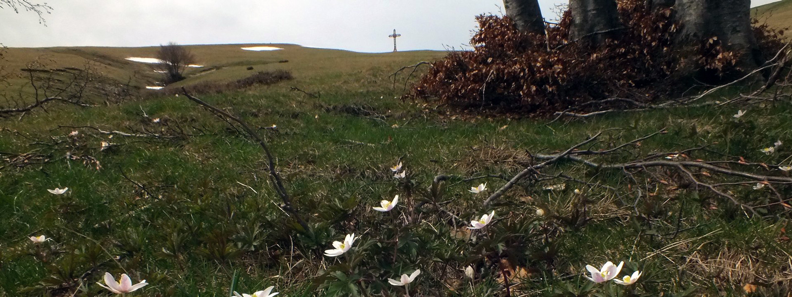 il Pratomagno